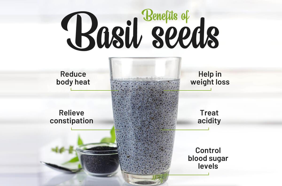 Basil Seeds - Drazzel(The Dry Fruits Hub)