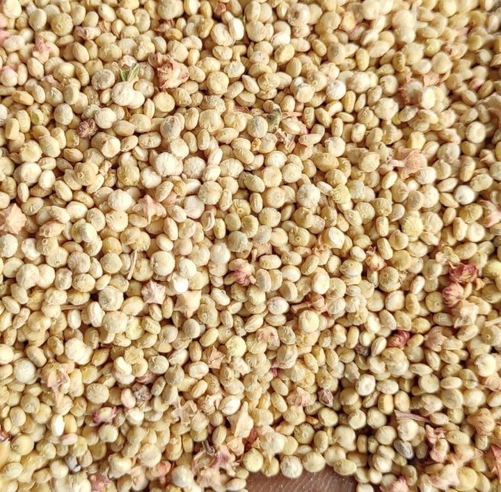 Quinoa Seeds - Drazzel(The Dry Fruits Hub)