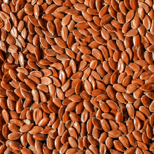Roasted Flax Seeds (200g) - Drazzel(The Dry Fruits Hub)