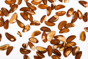 Brazil Nuts(without shell)