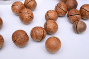 Macadamia Nuts(with shell)
