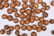 Macadamia Nuts(with shell)
