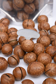 Macadamia Nuts(with shell)