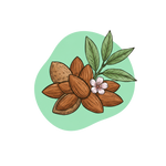 Almonds