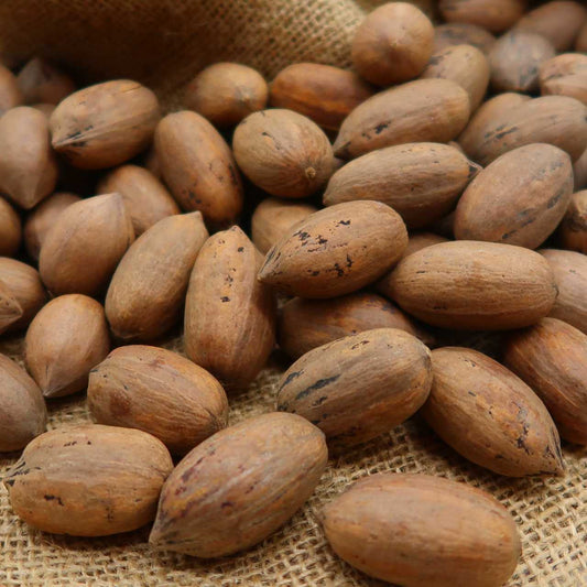 Pecan Nuts(with shell)