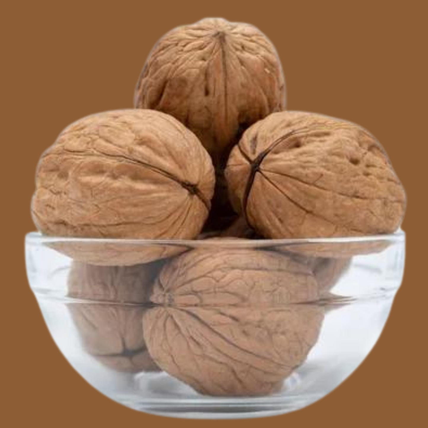 Chile Walnuts (size  36+)