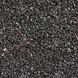 Basil Seeds