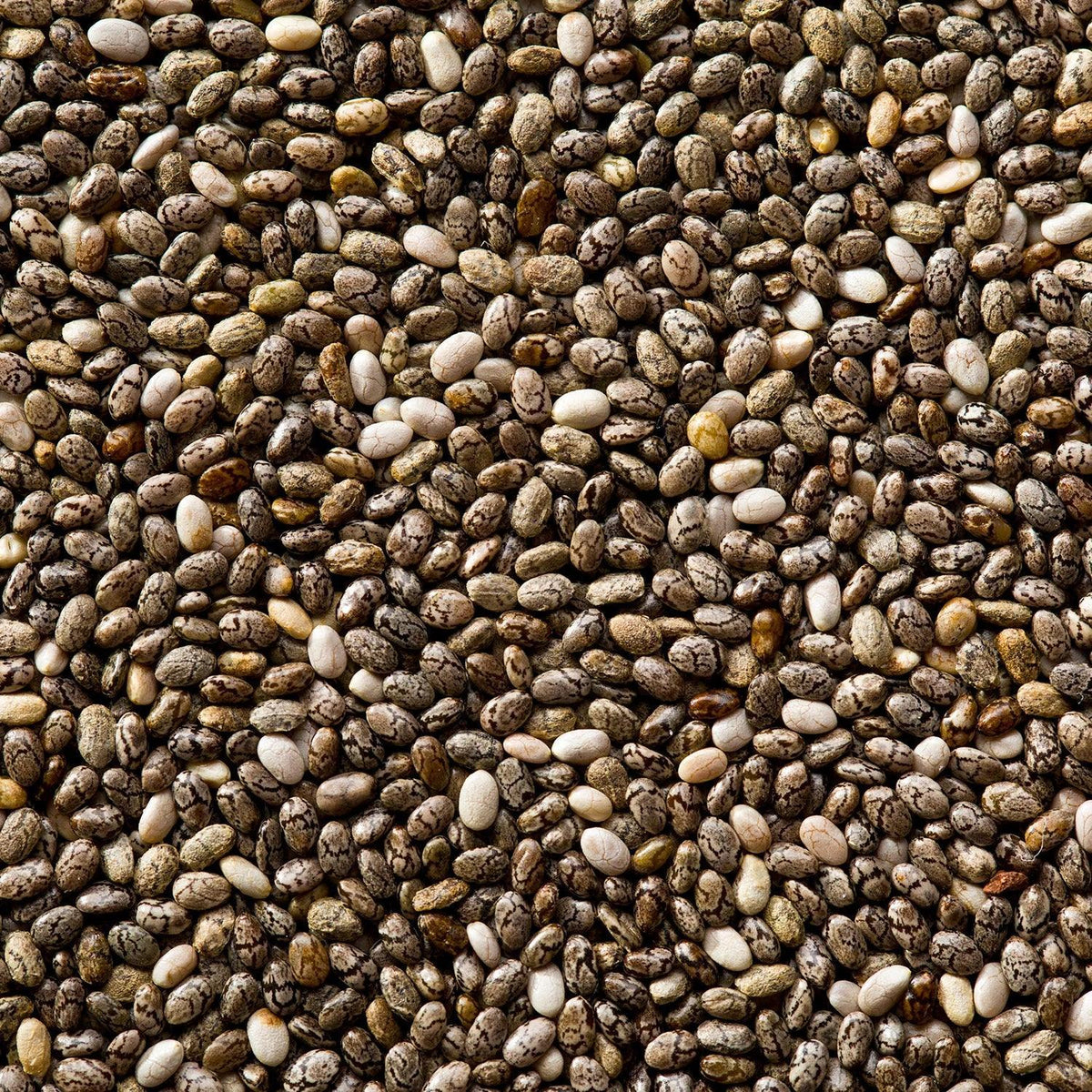 Chia Seeds (200g) - Drazzel(The Dry Fruits Hub)