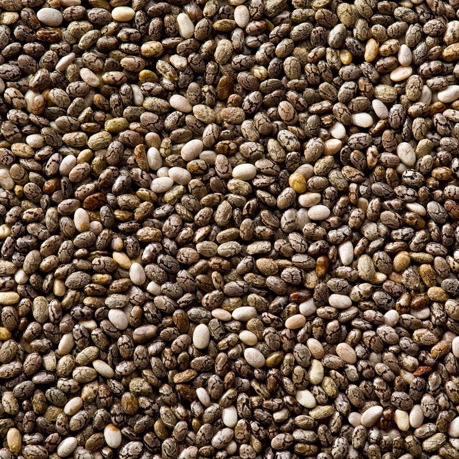 Drazzel Seeds Combo @359 - Drazzel(The Dry Fruits Hub)