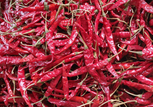 Kashmiri Chilli