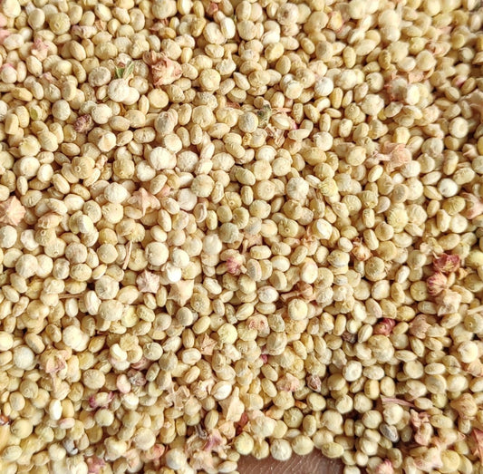 Quinoa Seeds